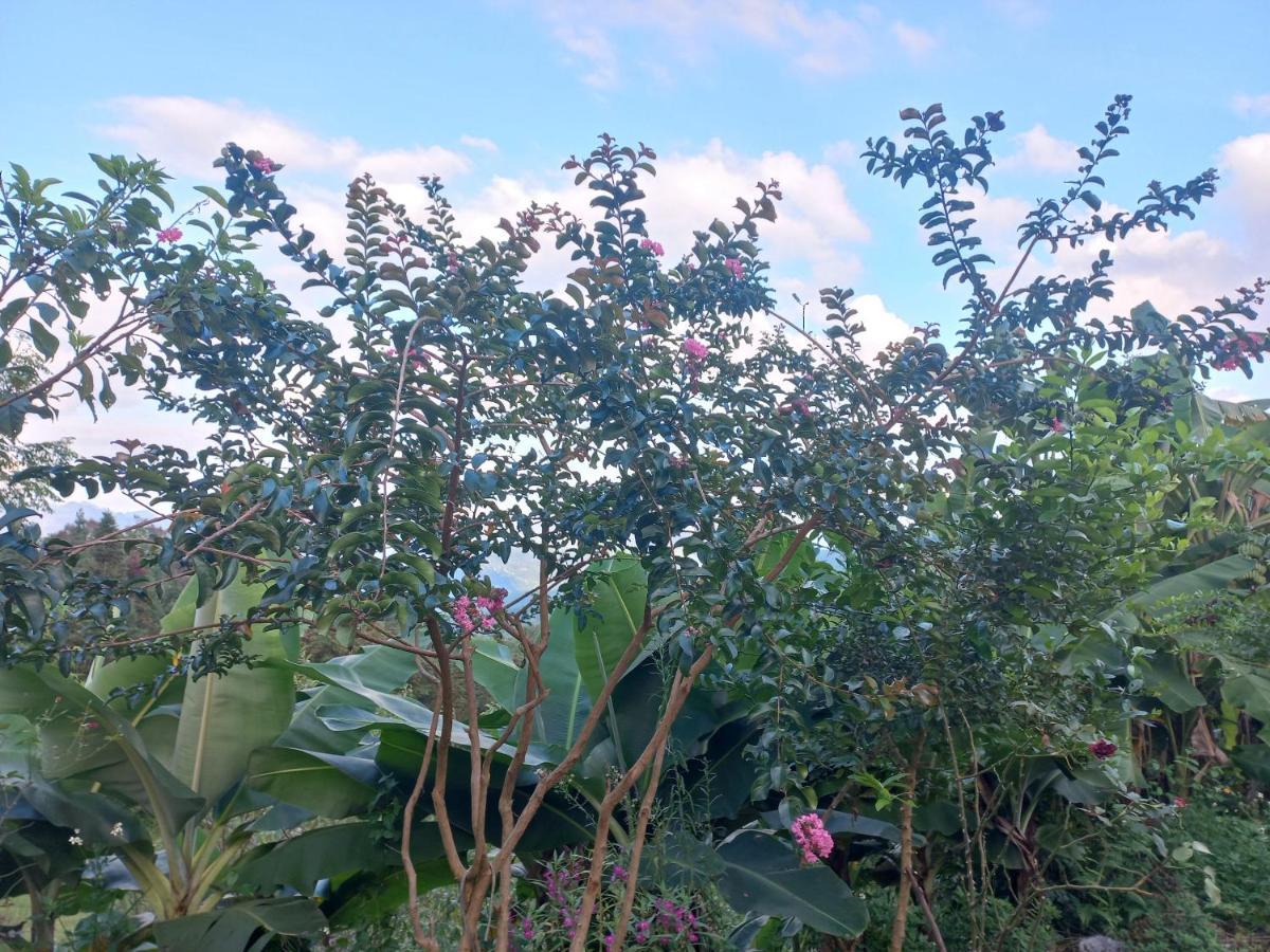 Homestay Hoang Vu ห่าซาง ภายนอก รูปภาพ